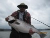 (04/02/2015) - Nice Striped Bass